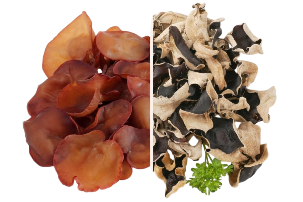 Uszak bzowy - Grzybki Mun (Auricularia auricula-judae) grzybnia płynna