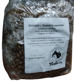 Grzybnia na ziarnie Grzybnia na ziarnie